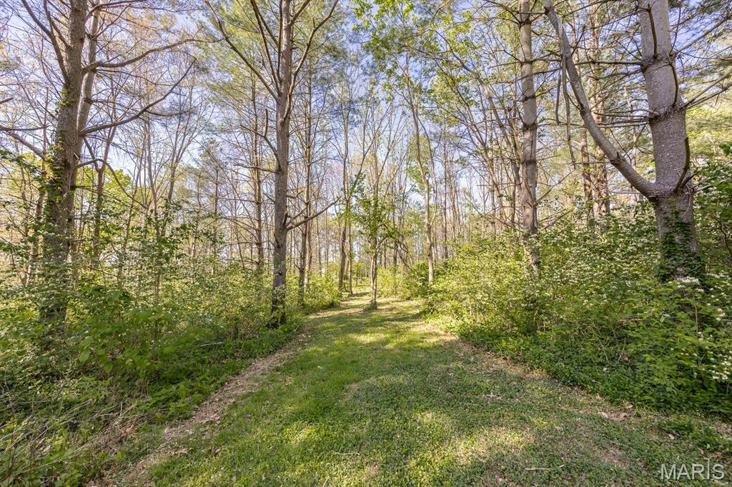10 Phillips Lane Shiloh, IL 62221 - Photo 11 of 95