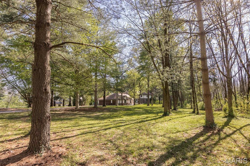 10 Phillips Lane Shiloh, IL 62221 - Photo 6 of 95