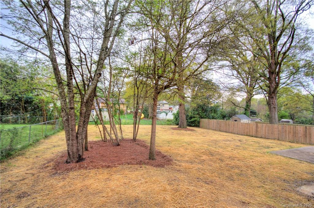 3908 Farmview Road Charlotte, NC 28205 - Photo 24 of 25 a view of backyard with tree