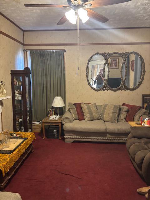 917 11th Street Augusta, GA 30901 - Photo 7 of 15 Living room