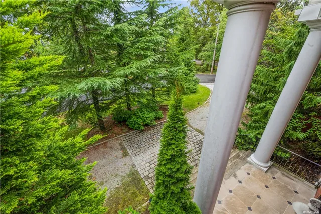 a view of a garden with plants