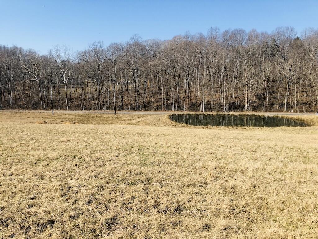 28-30 Oaks Road Jamestown, KY 42629 - Photo 4 of 12 IMG_3901