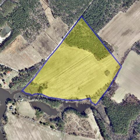19562 Bayside Road Greenbush, VA 23357 - Photo 42 of 47