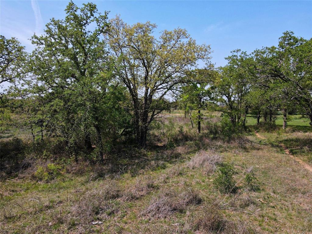 Lot 47 Paradise Oaks Ranch Perrin, TX 76487 - Photo 4 of 8 View of undeveloped land