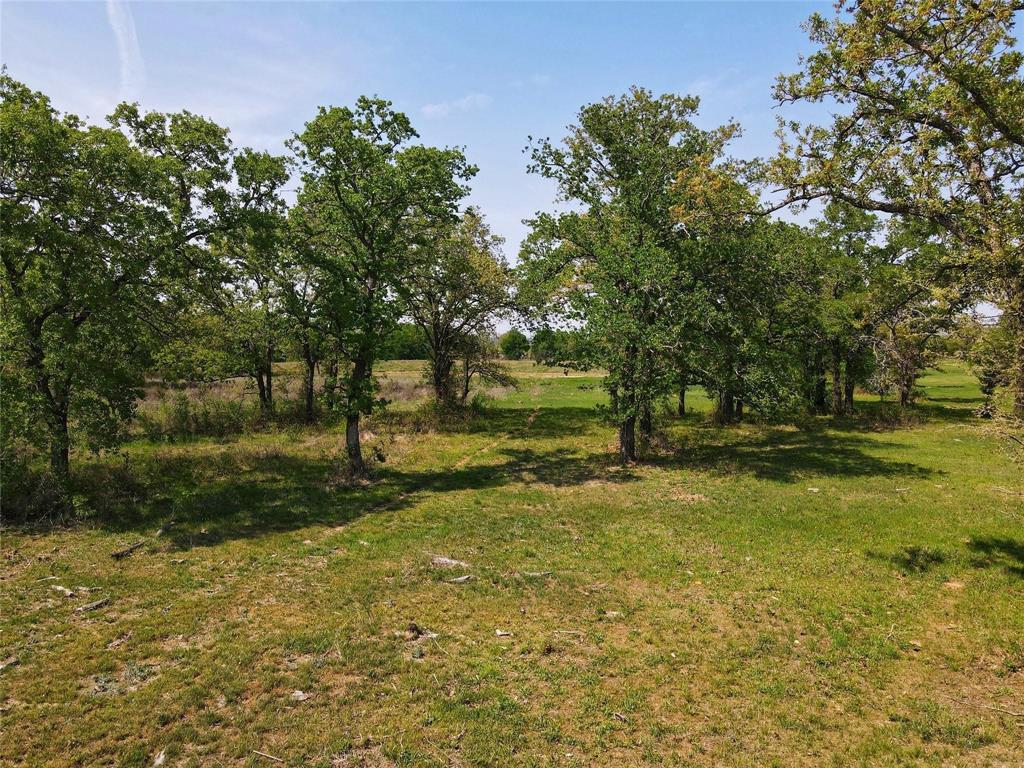 Lot 47 Paradise Oaks Ranch Perrin, TX 76487 - Photo 5 of 8 View of grassy yard
