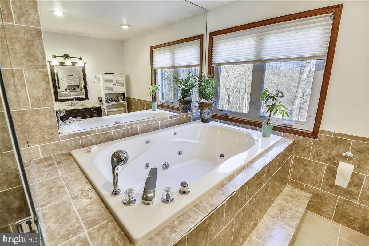 1439 Gilbert Road Arnold, MD 21012 - Photo 19 of 68 Master Bath