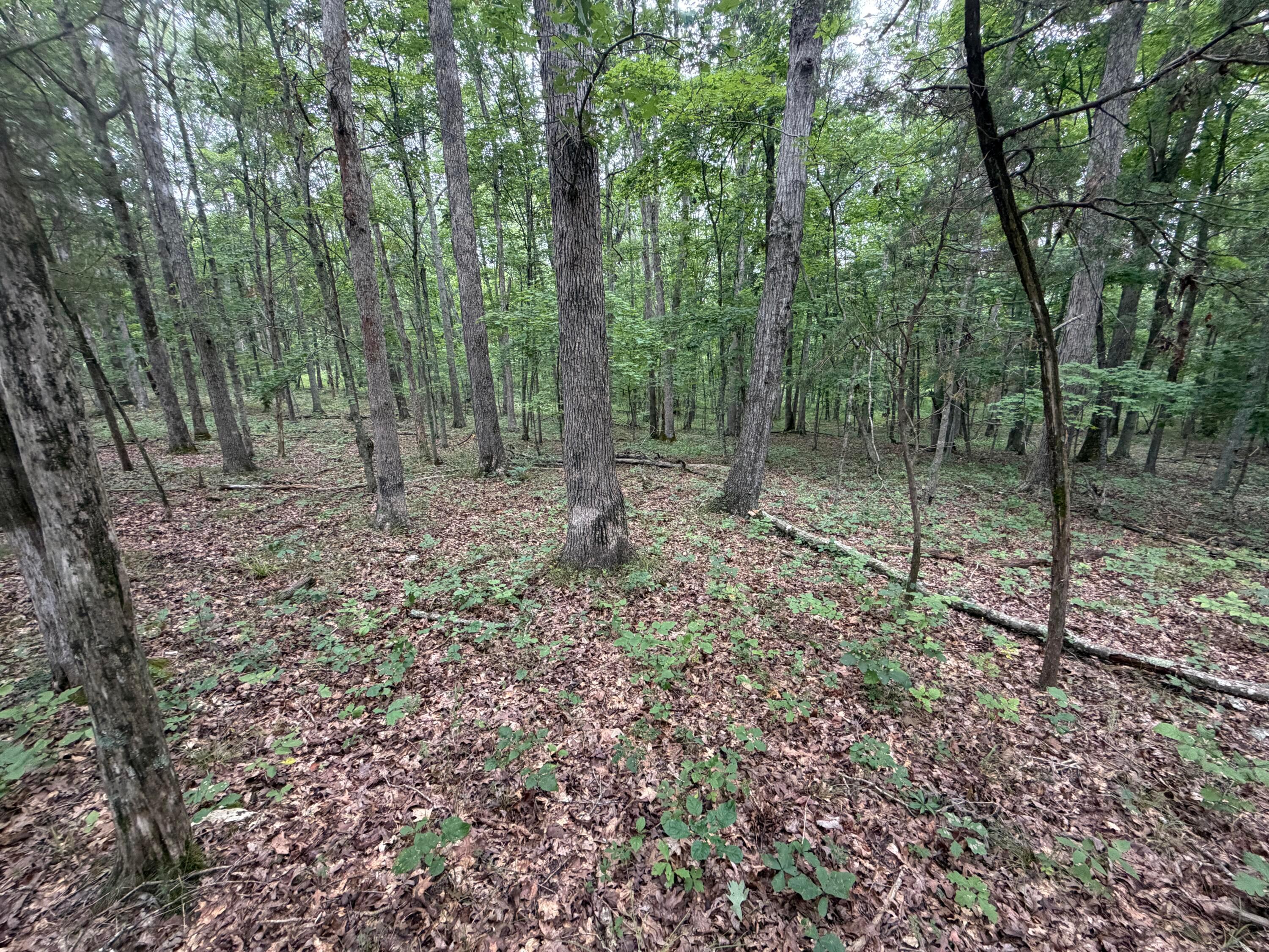 17883 State Rte 41 West Union, OH 45693 - Photo 47 of 60 45