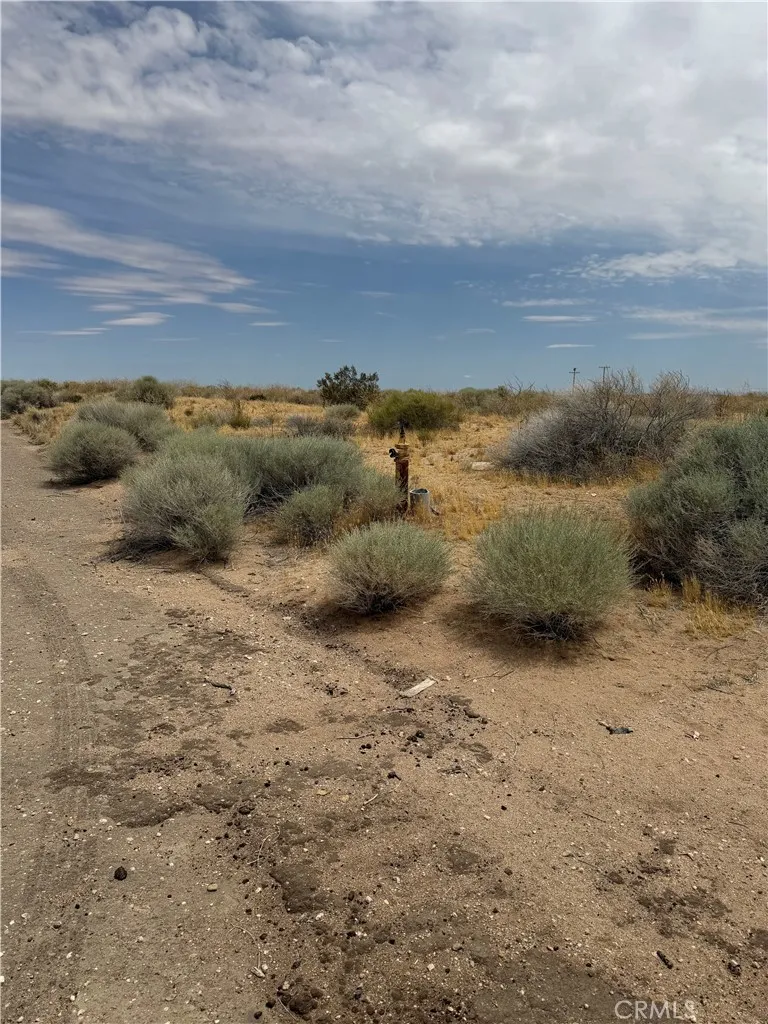 0 South College Edwards, CA 93523 - Photo 4 of 5 a view of a dry yard with wooden floor
