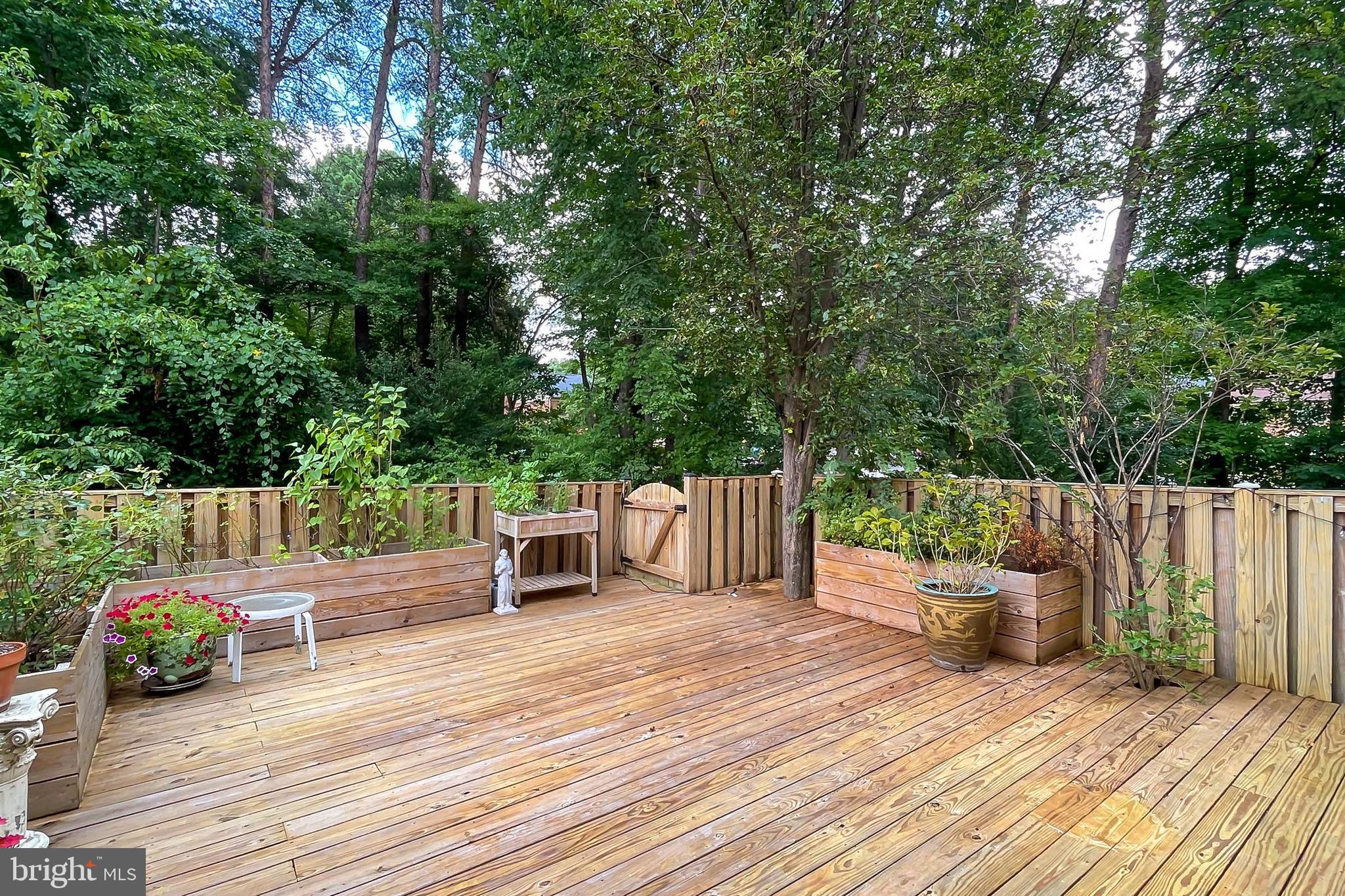 10270 Latney Road Fairfax, VA 22032 - Photo 37 of 52 Beautiful newer rear deck backing to trees