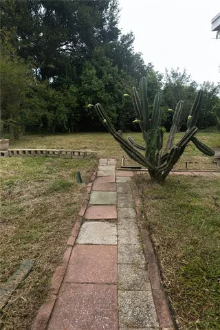 a view of yard with green space