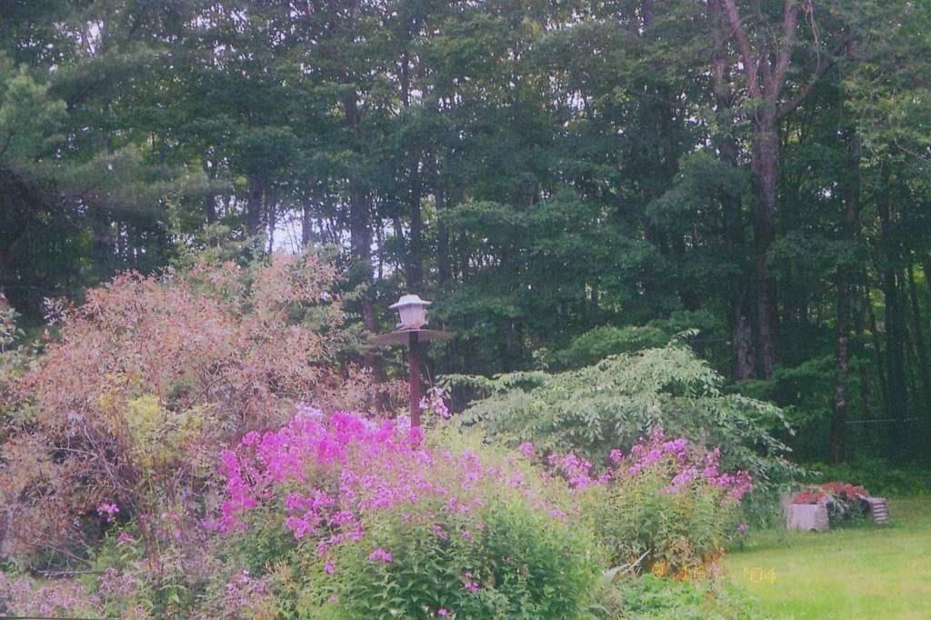 654 Barker Road New Vineyard, ME 04956 - Photo 26 of 30 Beautiful perennial gardens provide...
