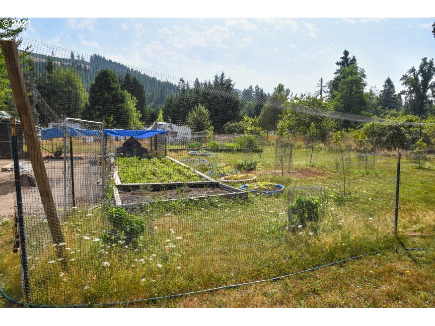 81252 Lost Creek Road Dexter, OR 97431 - Photo 28 of 29 Gallery Image 28