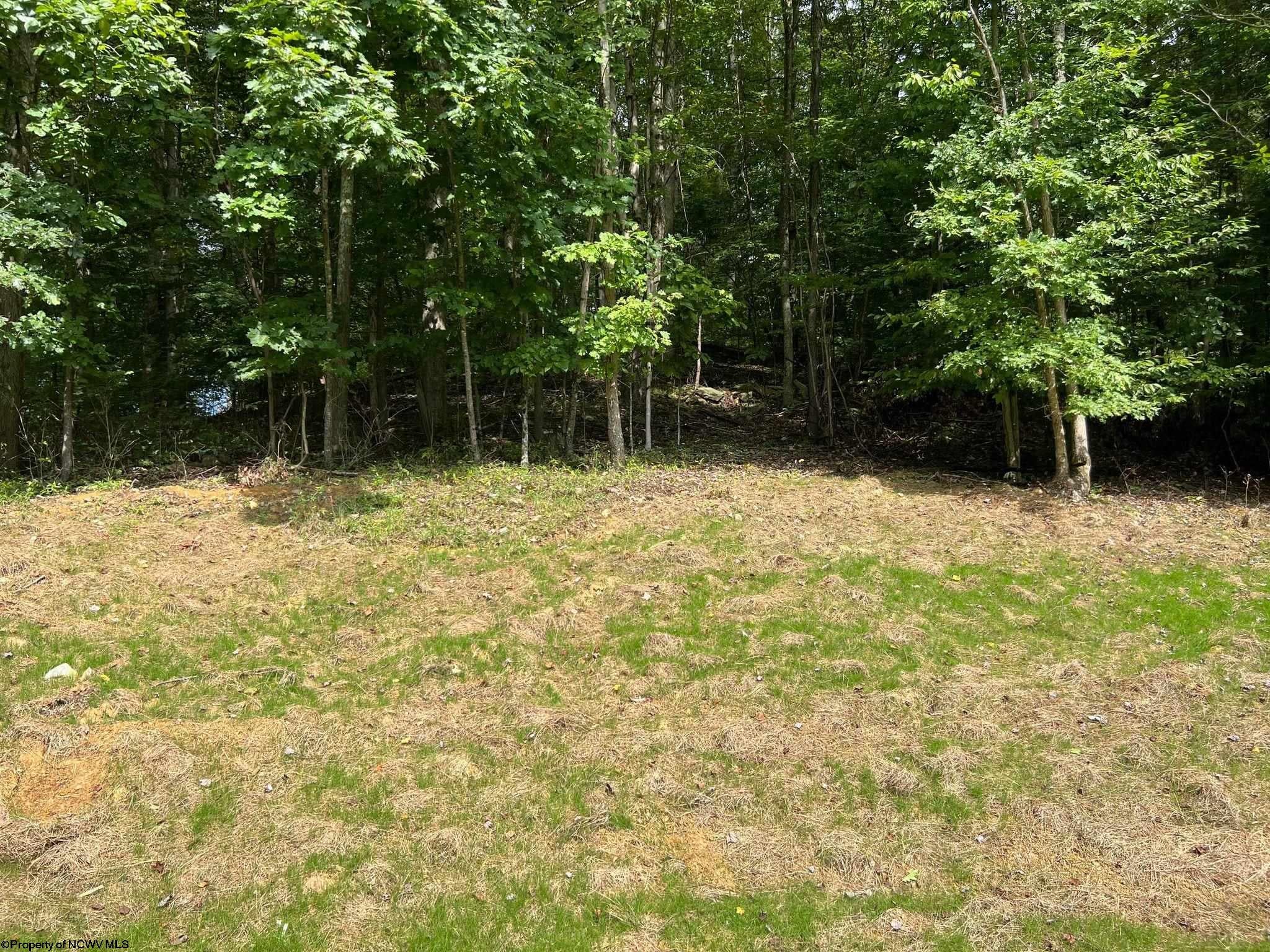 1373 Little Sand Run Road Buckhannon, WV 26201 - Photo 4 of 14 Gallery Image 4