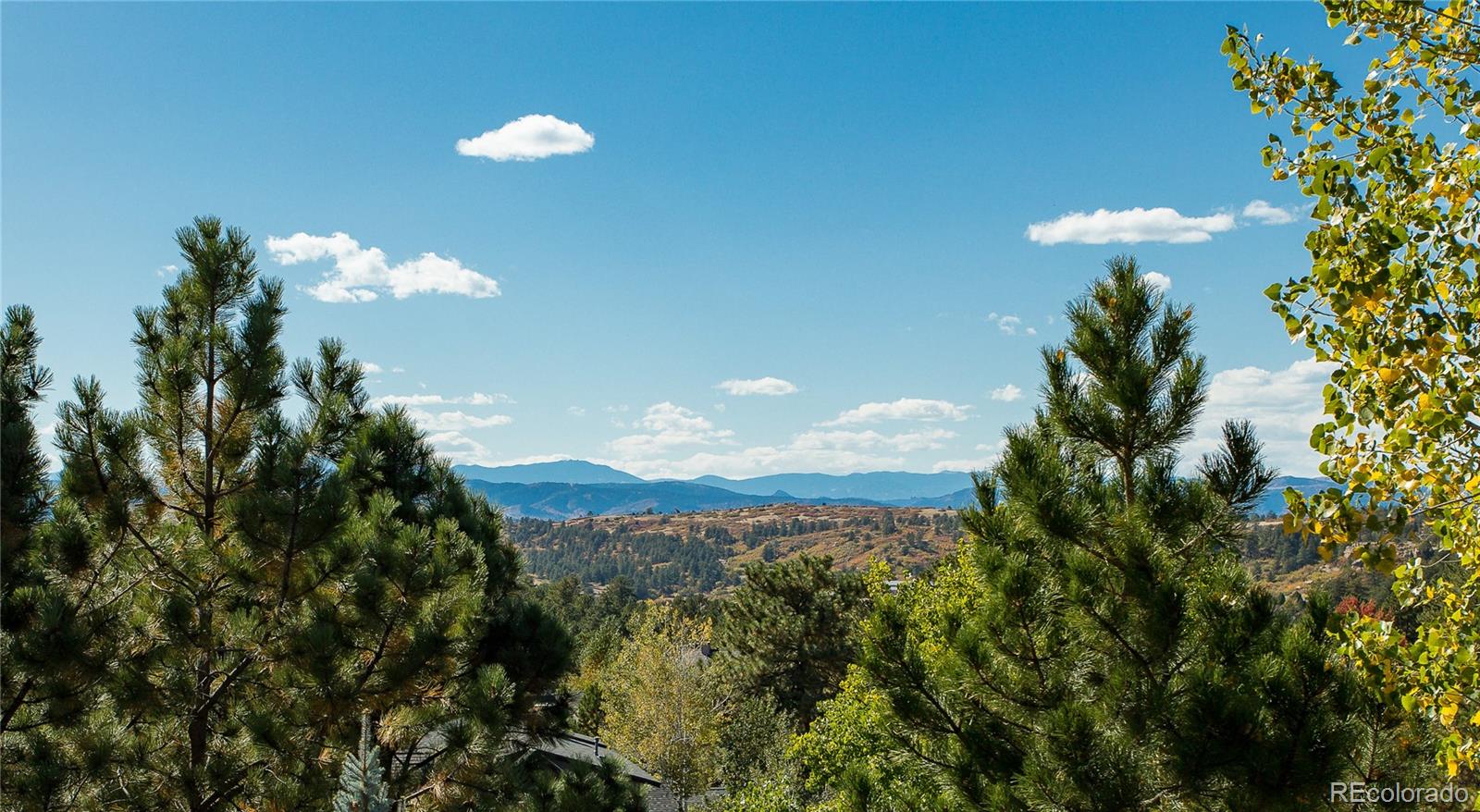 7094 Forest Ridge Circle Castle Pines, CO 80108 - Photo 22 of 35 Gallery Image 22