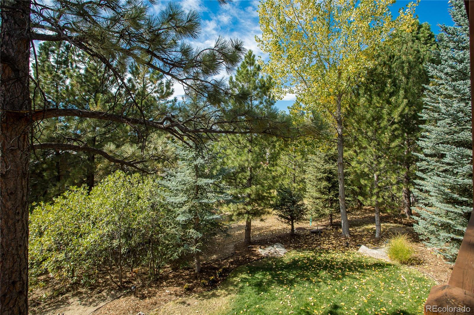 7094 Forest Ridge Circle Castle Pines, CO 80108 - Photo 33 of 35 Gallery Image 33
