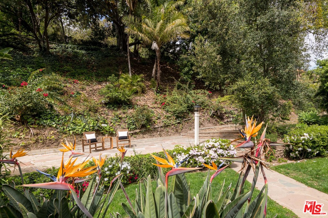 10886 Chalon Road Los Angeles, CA 90077 - Photo 28 of 33 a view of a backyard