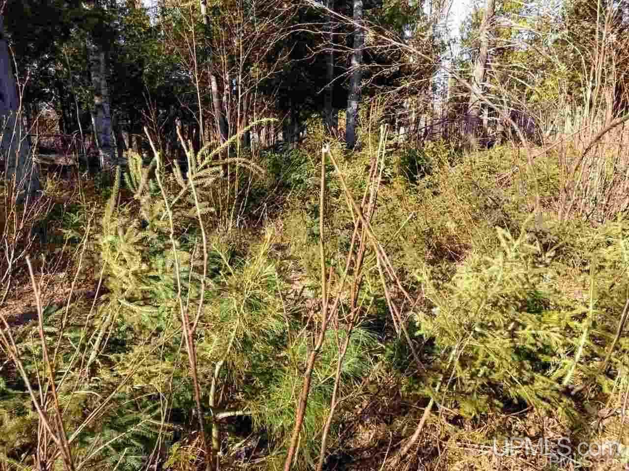 Tbd Sandstone B Road Lake Linden, MI 49945 - Photo 19 of 50