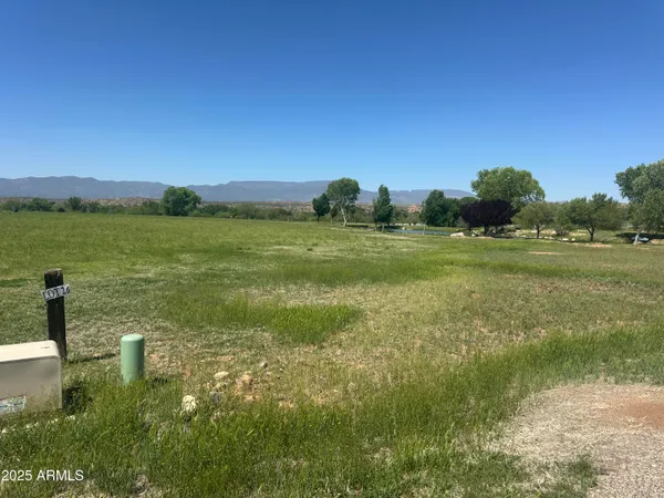 a view of a lake from a yard