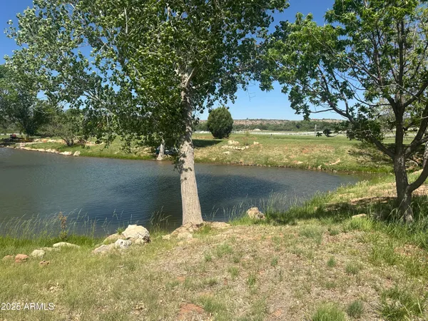 a view of a lake from a yard