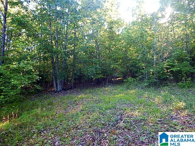 Sunhill Lane, Unit 14 Oneonta, AL 35121 - Photo 26 of 27