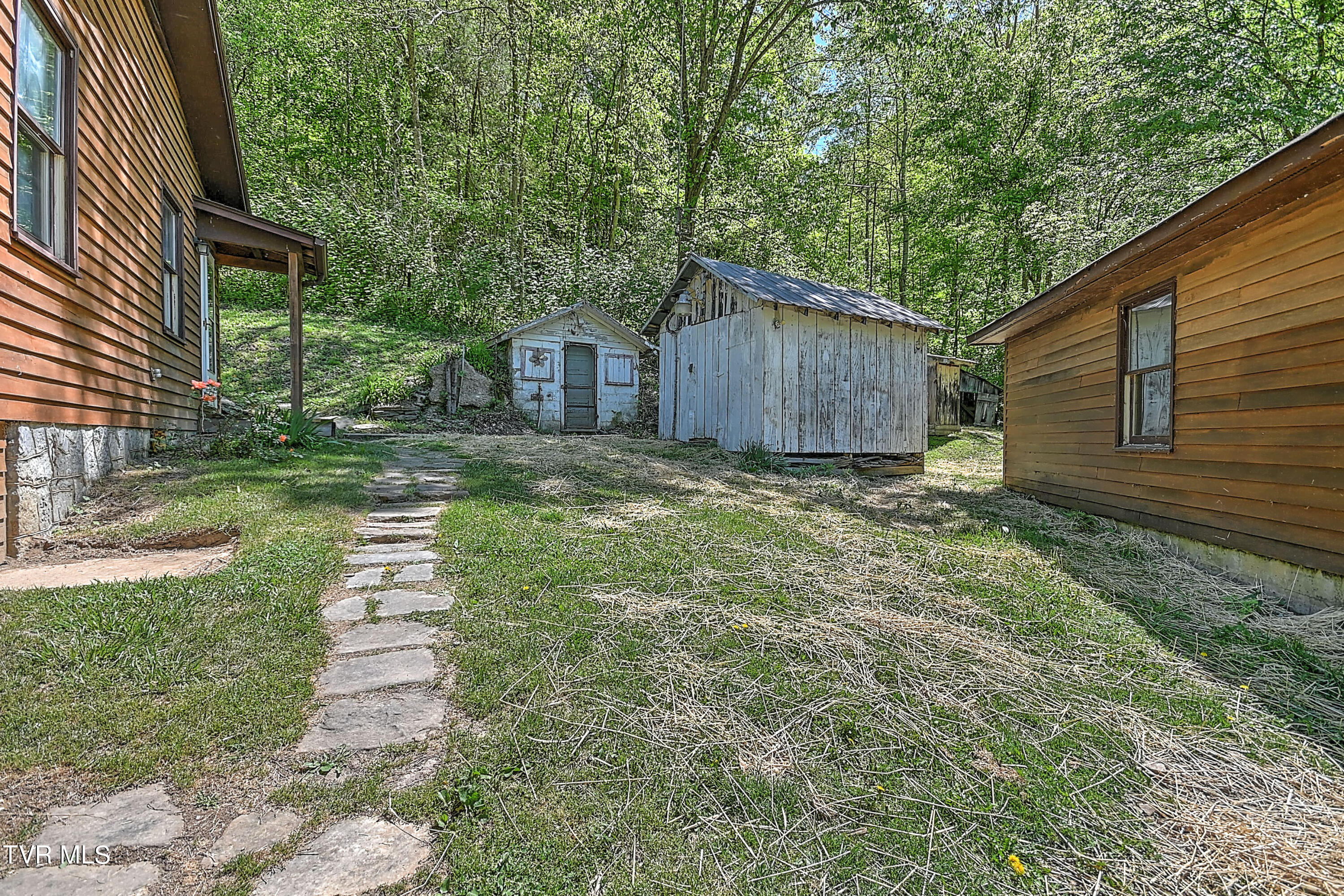 3753 Cove Creek Road Bristol, VA 24202 - Photo 44 of 70 Cove Creek Gdawg-41