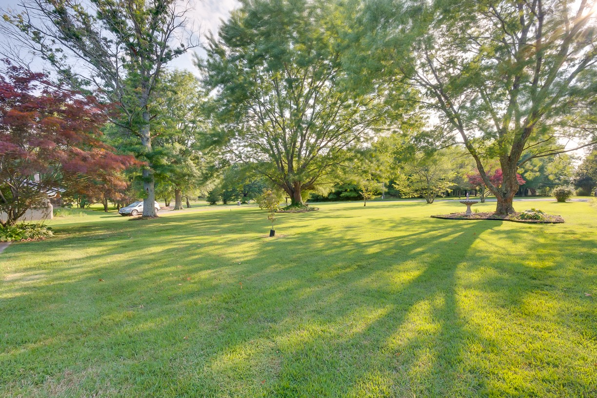 116 Green Acres Road Cottontown, TN 37048 - Photo 11 of 44 a view of a ground with large trees