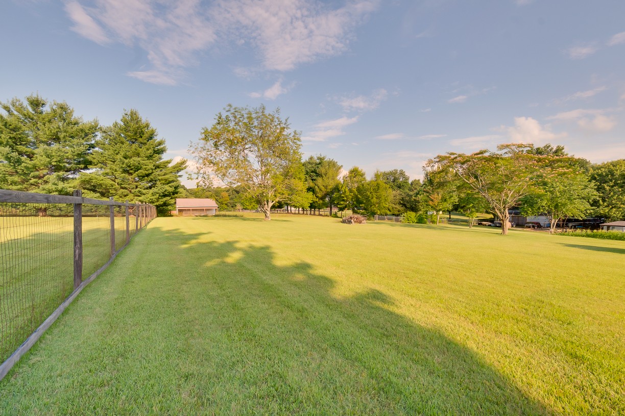 116 Green Acres Road Cottontown, TN 37048 - Photo 43 of 44 a view of yard with large trees