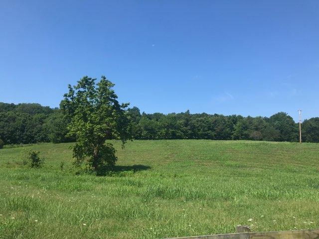 3 Preacher Holt Road Mount Pleasant, TN 38474 - Photo 3 of 3 Gallery Image 3