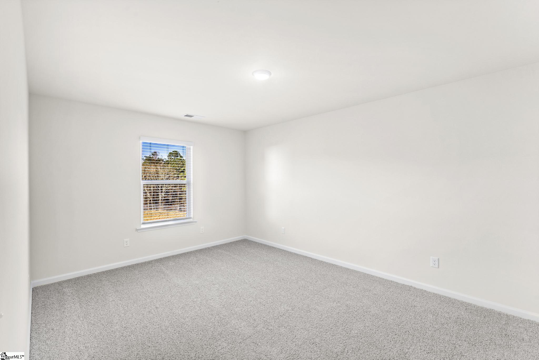 115 Terpack Circle Gray Court, SC 29645 - Photo 17 of 20