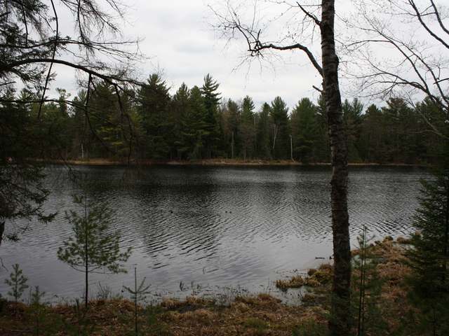 On Perch Lake Road, Unit LOT 2 Eagle River, WI 54521 - Photo 1 of 17 Gallery Image 1