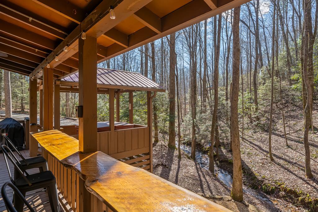 231 Lakeside Drive Blue Ridge, GA 30513 - Photo 1 of 42 Main View