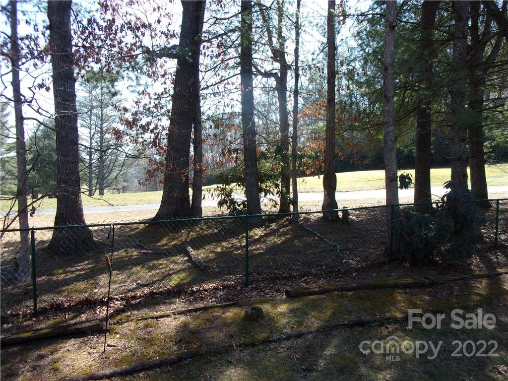 49 Rockledge Road Spruce Pine, NC 28777 - Photo 4 of 4 Gallery Image 4