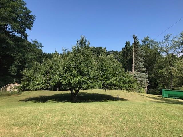 18450 Wingate Road Manchester, MI 48158 - Photo 7 of 10 Photo 7