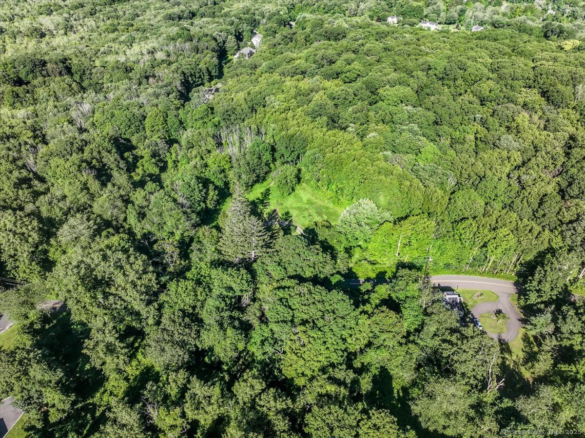 16 Farrell Road Newtown, CT 06470 - Photo 21 of 38 a view of a lush green forest