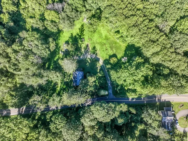 a view of a lush green forest