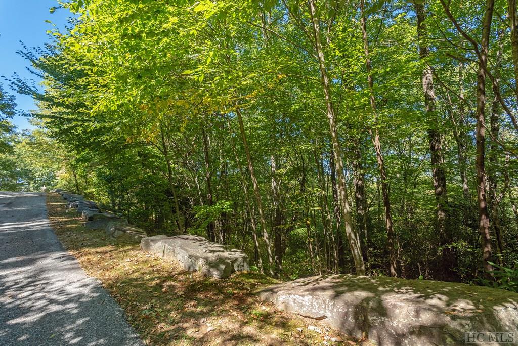 Lot 31 East Ridge Road Cashiers, NC 28717 - Photo 4 of 11 Gallery Image 4