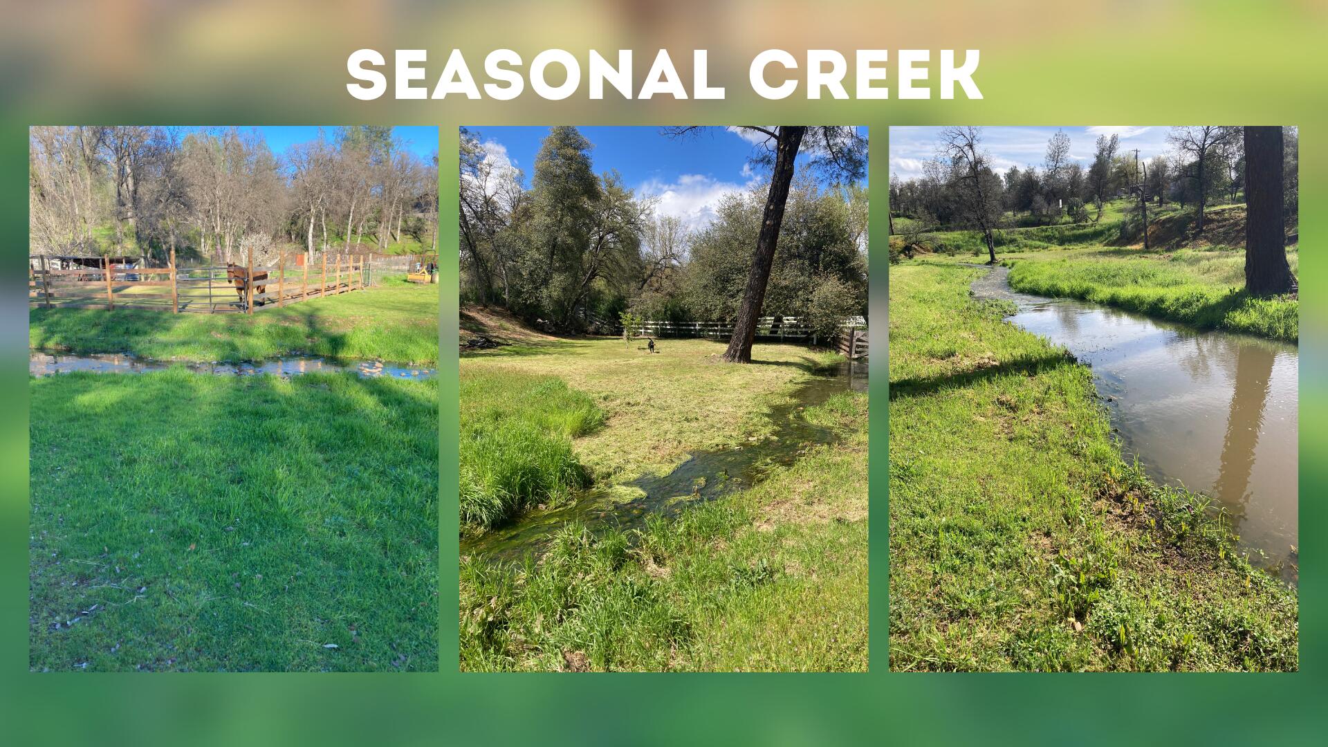 20035 Old Alturas Road Redding, CA 96003 - Photo 33 of 36 Seasonal Creek