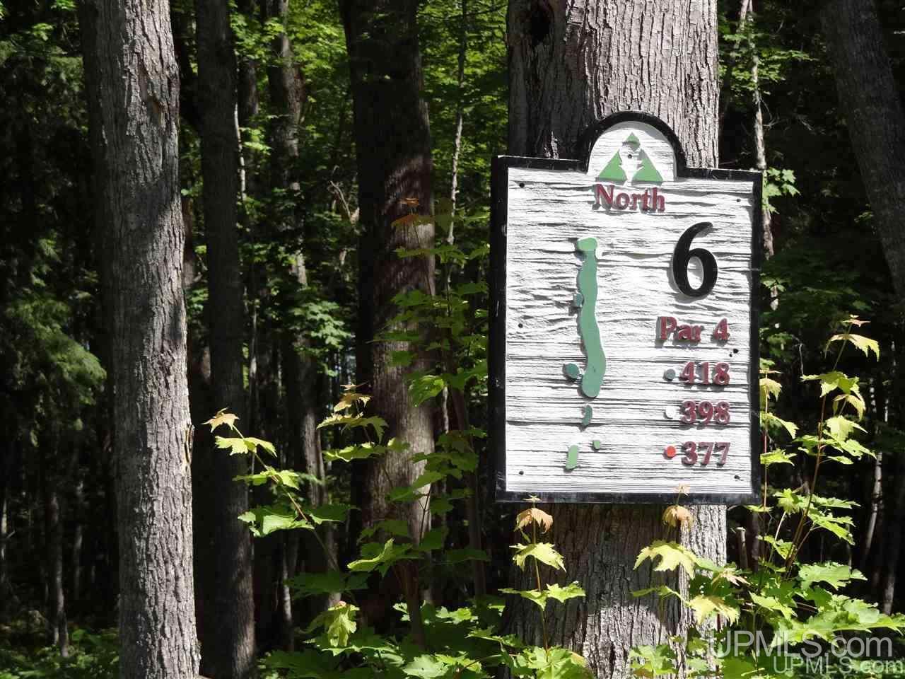 Tbd Light Blue Road, Unit LOT 177 Nisula, MI 49952 - Photo 22 of 37