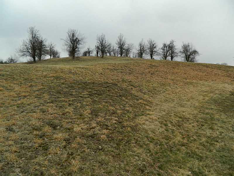 191 Wallrose Heights Road Economy, PA 15005 - Photo 22 of 24 Land/Lot. Fruit Bearing Pear Trees line some of the property! Mineral Rights Included!