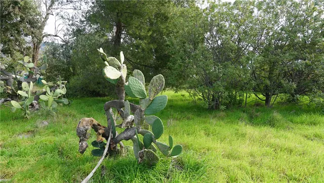 $975,000 | 13750 Fenton Avenue, Sylmar, CA 91342