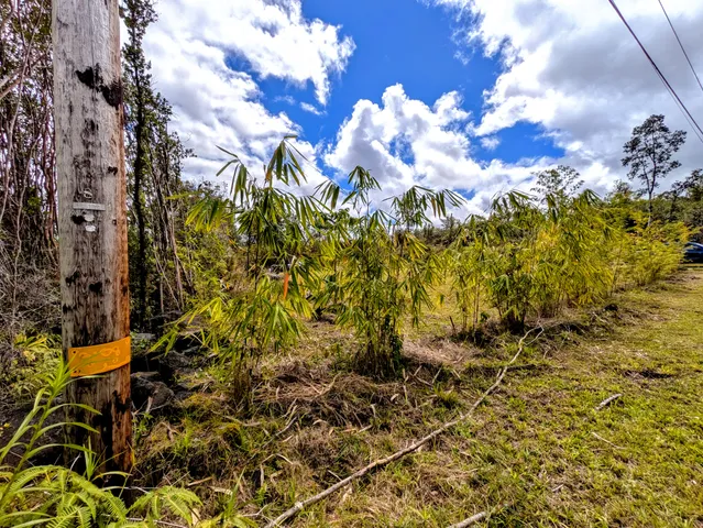 $125,500 | 27 Ulei Street, Mountain View, HI 96771