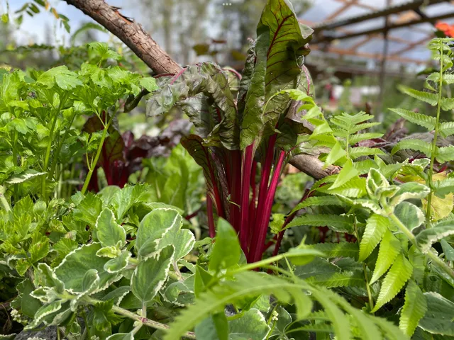 $125,500 | 27 Ulei Street, Mountain View, HI 96771