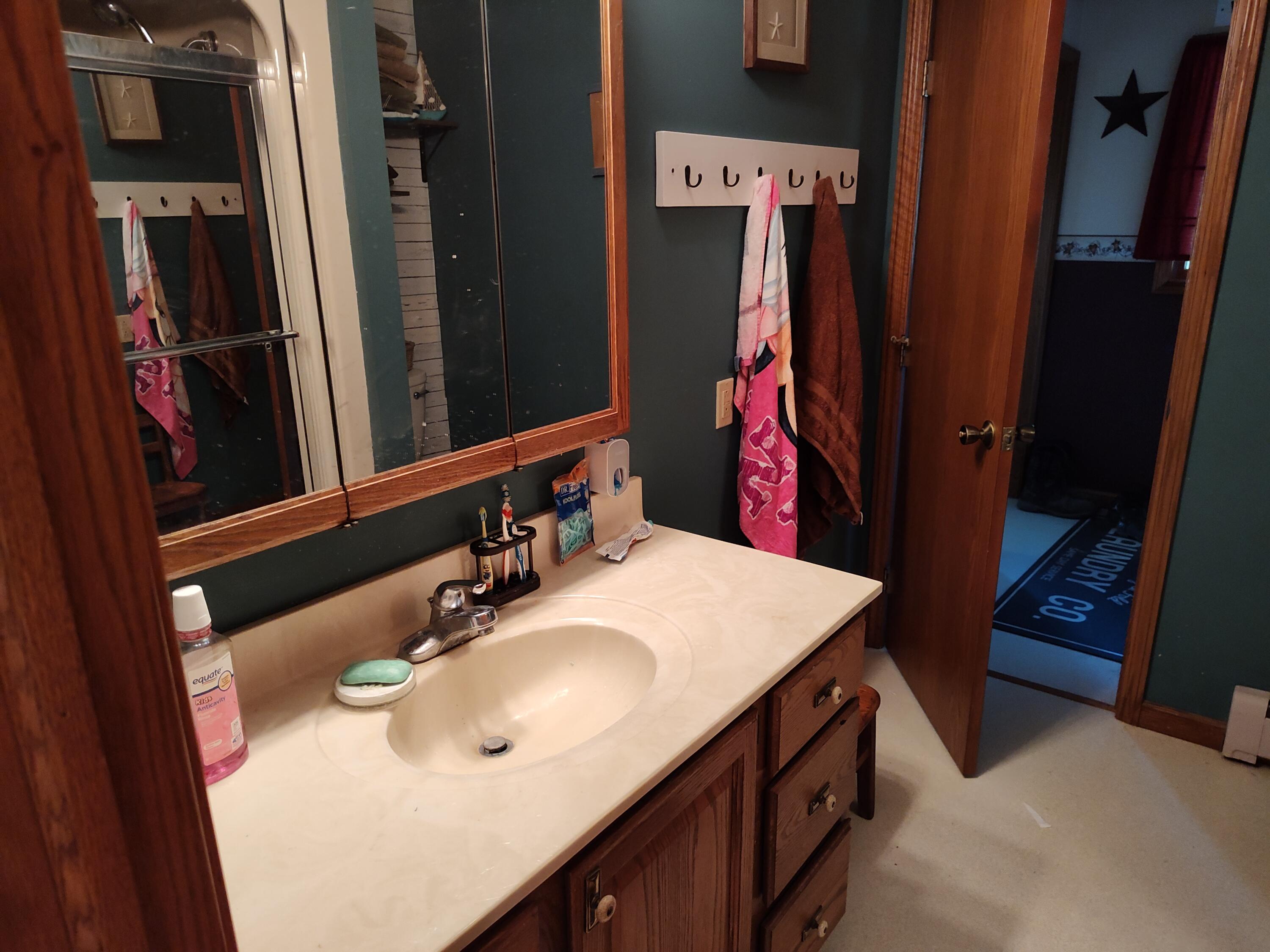 875 North Briggs Road Quincy, MI 49082 - Photo 15 of 55 IMG_20230518_191508339