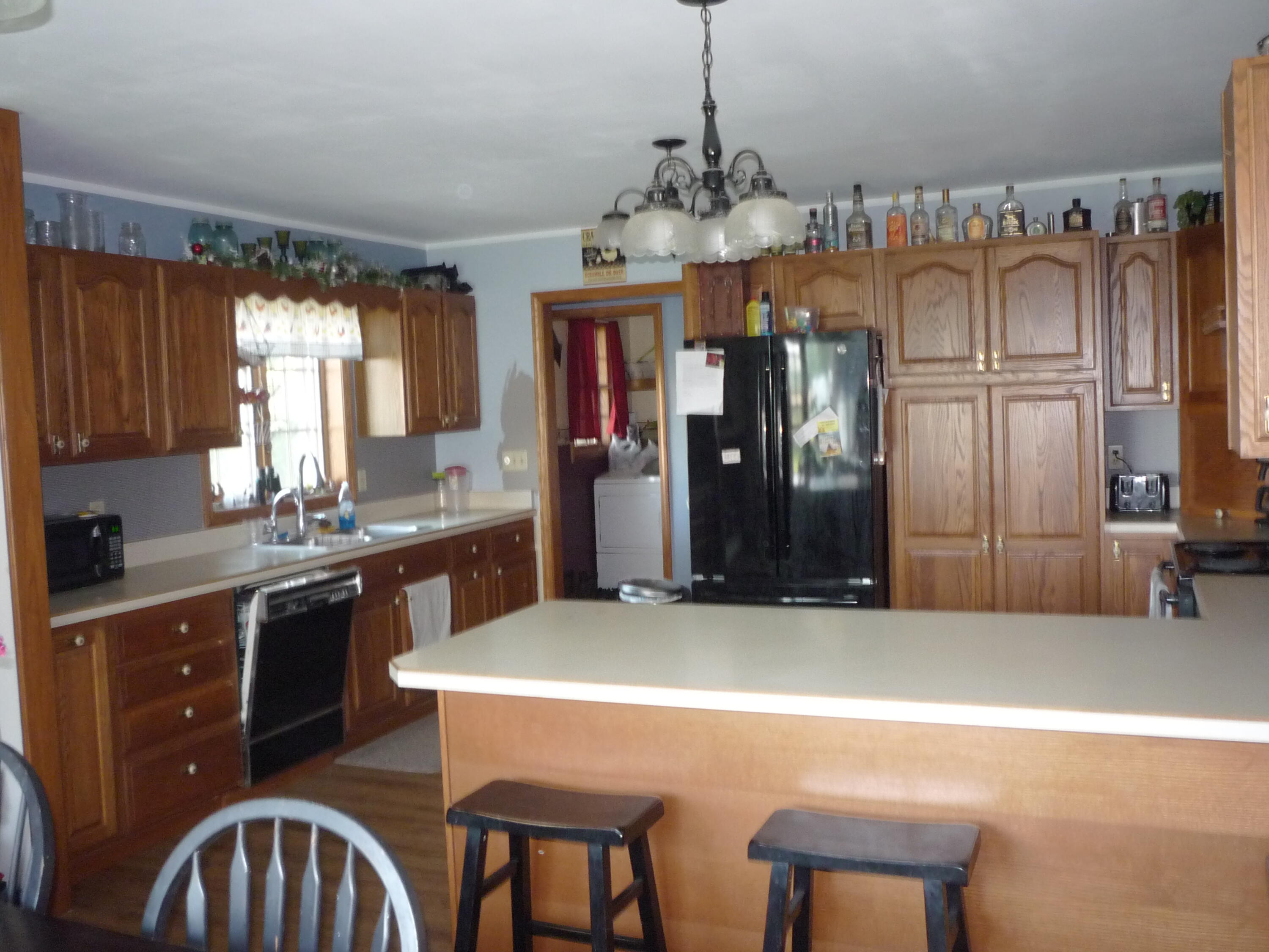 875 North Briggs Road Quincy, MI 49082 - Photo 3 of 55 P1080094