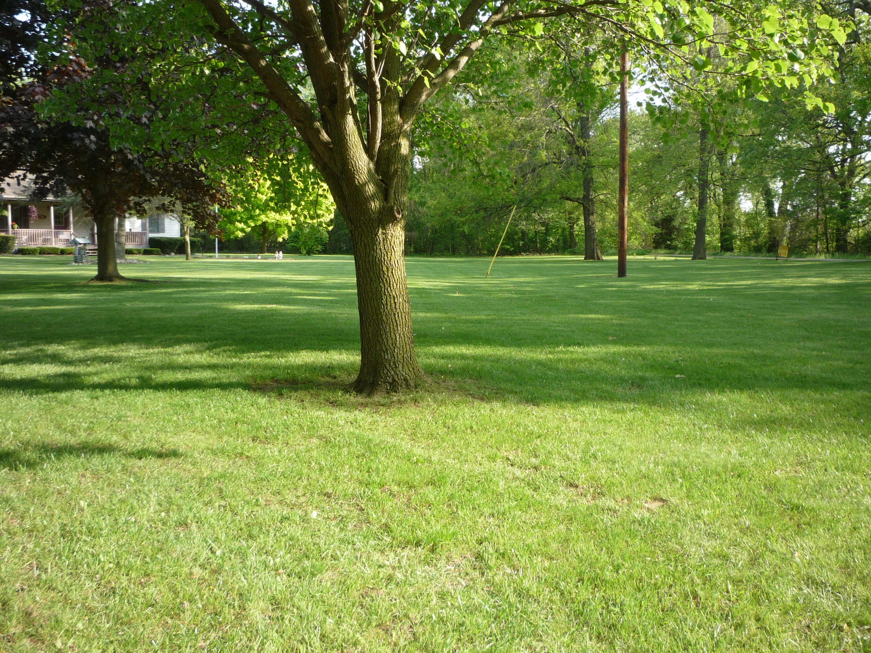 875 North Briggs Road Quincy, MI 49082 - Photo 37 of 55 P1080071