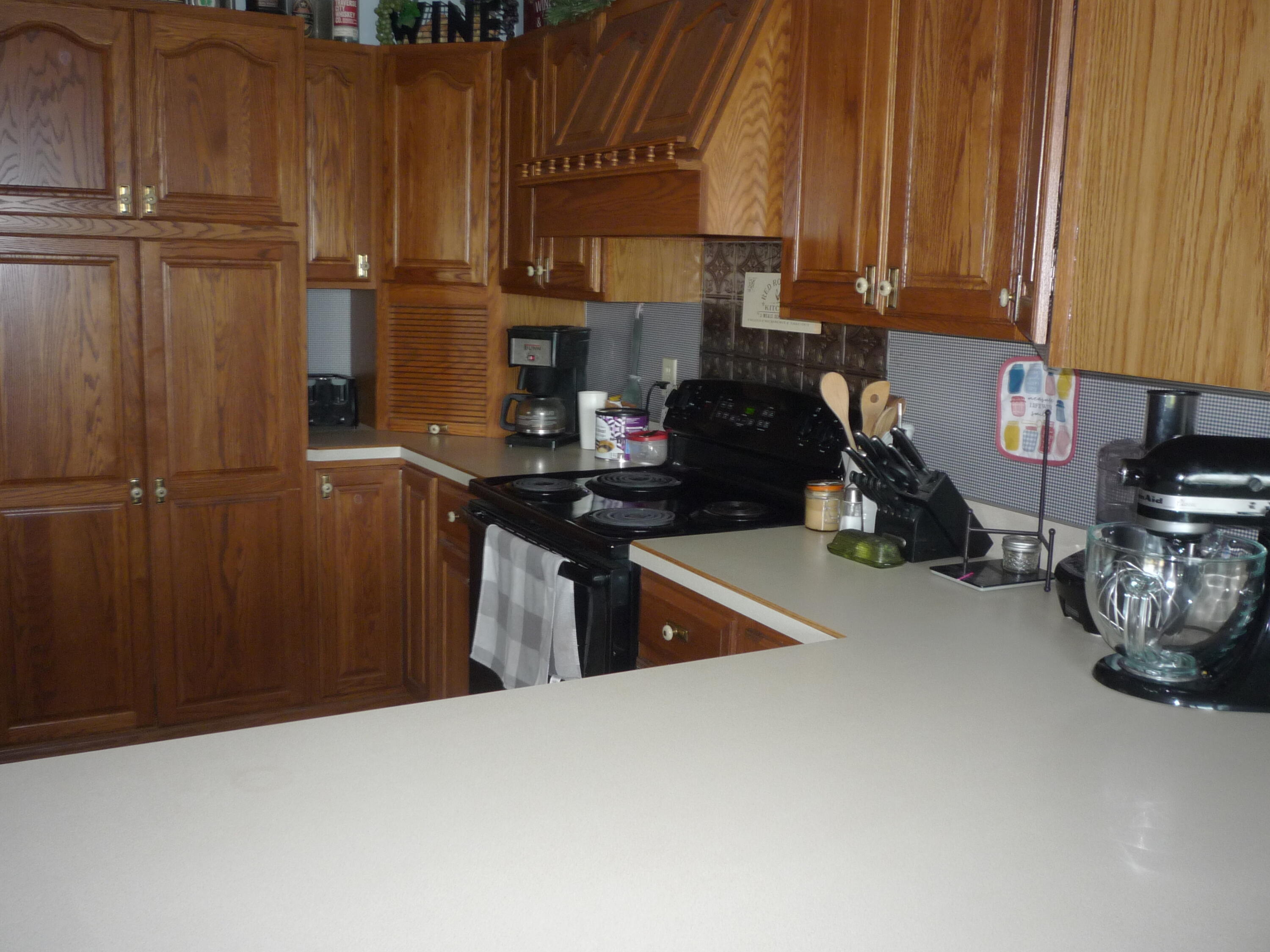 875 North Briggs Road Quincy, MI 49082 - Photo 4 of 55 P1080099
