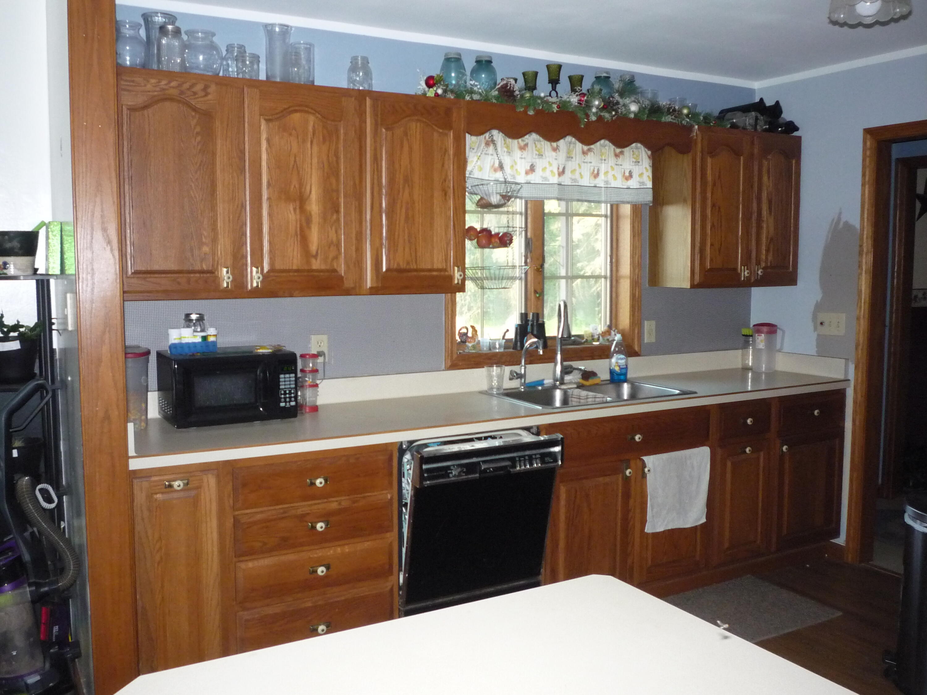 875 North Briggs Road Quincy, MI 49082 - Photo 5 of 55 P1080100