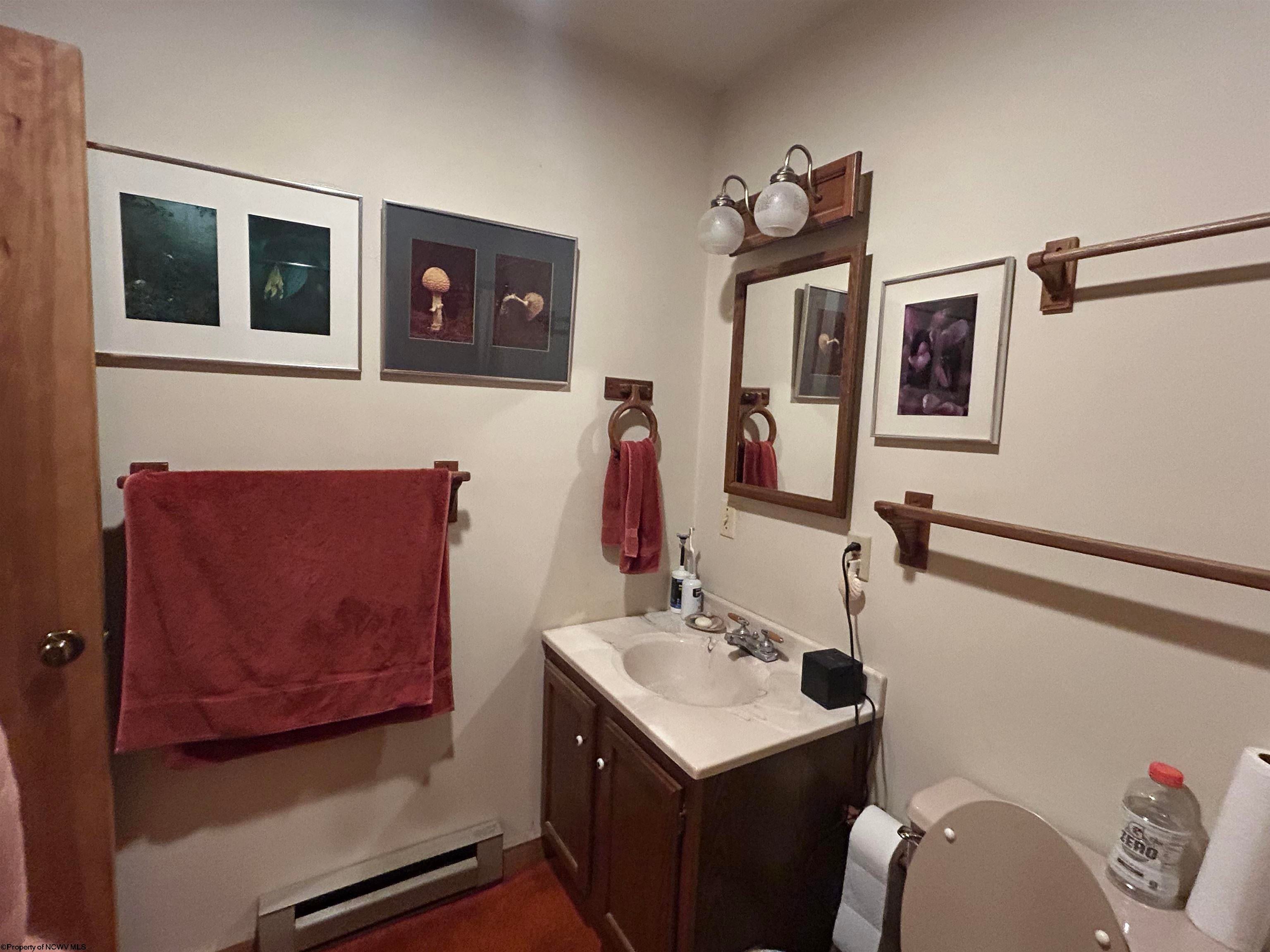 41 Snowflake Circle Davis, WV 26260 - Photo 11 of 17 Gallery Image 11