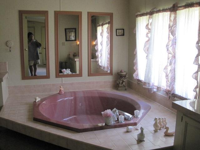 1212 Northeast Young Road Lebanon, TN 37087 - Photo 15 of 20 Garden tub in master bath.