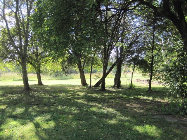 1212 Northeast Young Road Lebanon, TN 37087 - Photo 3 of 20 Lovely treed back yard.